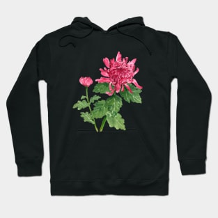 December 13th birthday flower Hoodie